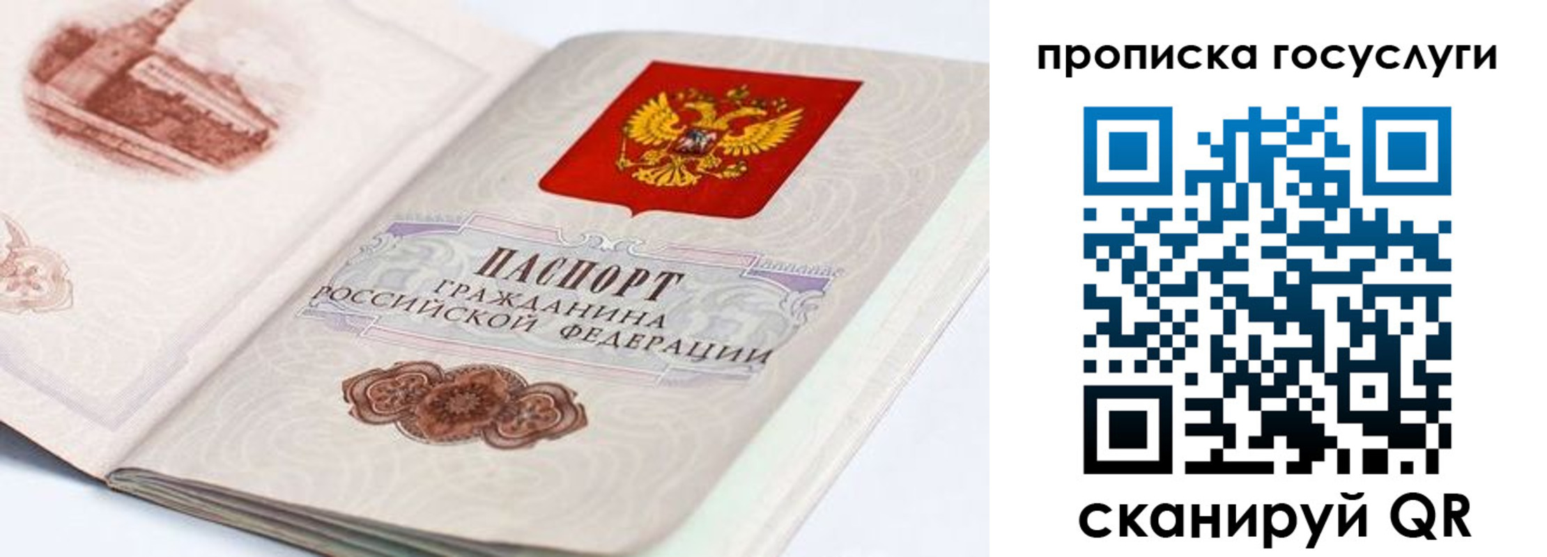 прописка гарантия в Катав-Ивановске